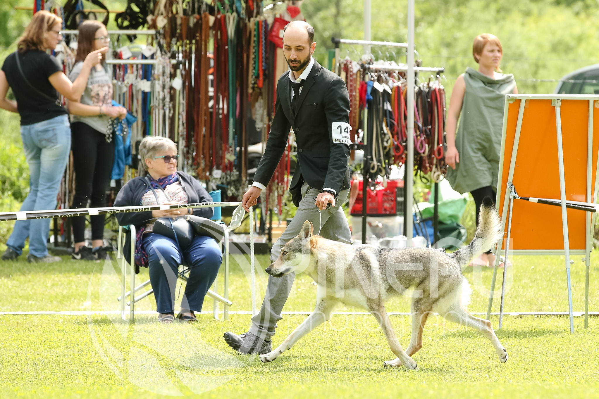 CAC_Hrusica2018Ringi&BIS (119)