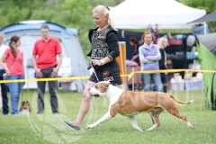 CAC_Hrusica2019-83